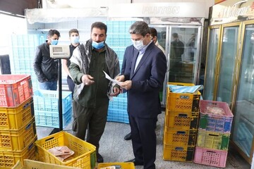 بازدید سرزده استاندار آذربایجان‌غربی از روند توزیع مرغ و روغن در ارومیه