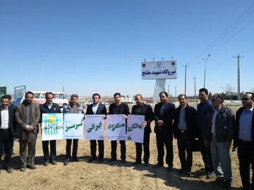 ۵۰ هزار اصله درخت در نیروگاه برق شهید مفتح همدان کاشته شد