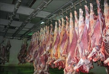 ۵۸ هزار تن گوشت در کشتارگاه های دام و طیور استان مرکزی تولید شد