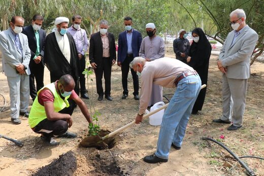 ۱۹ نهال مثمر به نام ۱۹ شهید والامقام در پارک جنگلی گلستان قشم کاشته شد