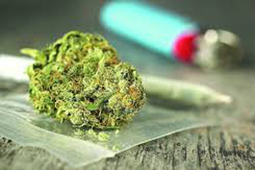 ببینید | ماری جوانا به جای سبزه عید