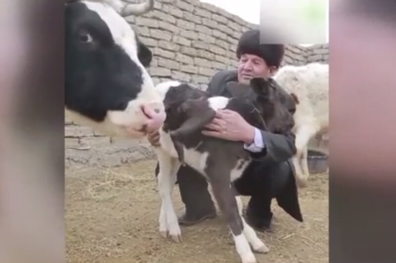 ببینید | حیوان عجیب الخلقه با پای اضافه روی گردنش