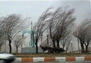 طوفان اصفهان تیربرق‌ها و درختان را از جا کند
