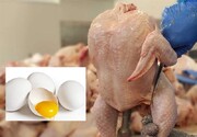  بازار مرغ و تخم‌مرغ روی آرامش را می‌بیند؟