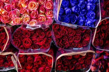 بازار گل در آستانه ی سال نو