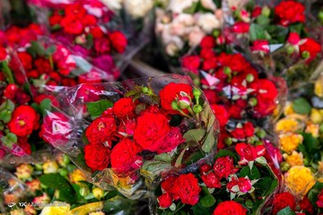 بازار گل در آستانه ی سال نو