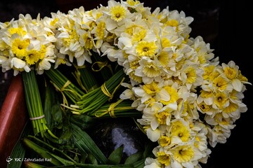 بازار گل در آستانه ی سال نو