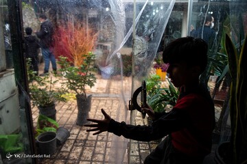 بازار گل در آستانه ی سال نو