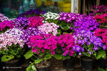 بازار گل در آستانه ی سال نو