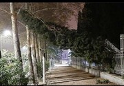 خسارت طوفان به شیراز؛ از آلودگی هوا تا آسیب به ۲۰۰ درخت