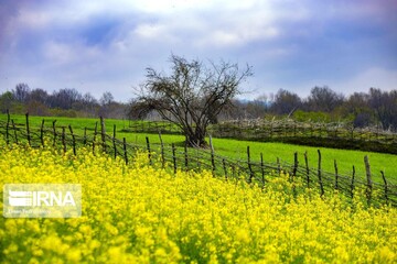 بهار مازندران