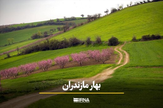 بهار مازندران