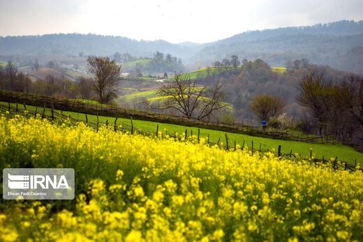 بهار مازندران