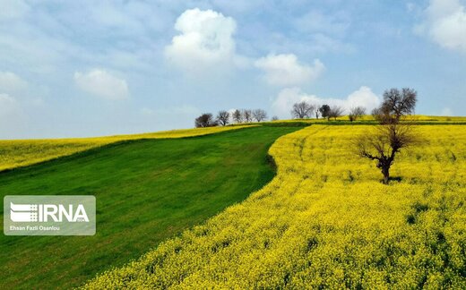 بهار مازندران