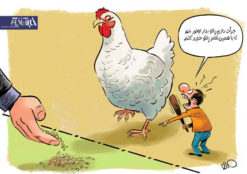 ببینید: مرغ هم ممنوع‌الخروج شد!