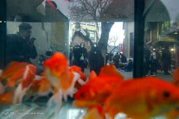 تهران در آستانه نوروز 1400