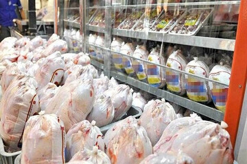 کشف بیش از ۸ هزار قطعه مرغ گوشتی احتکاری در هرسین