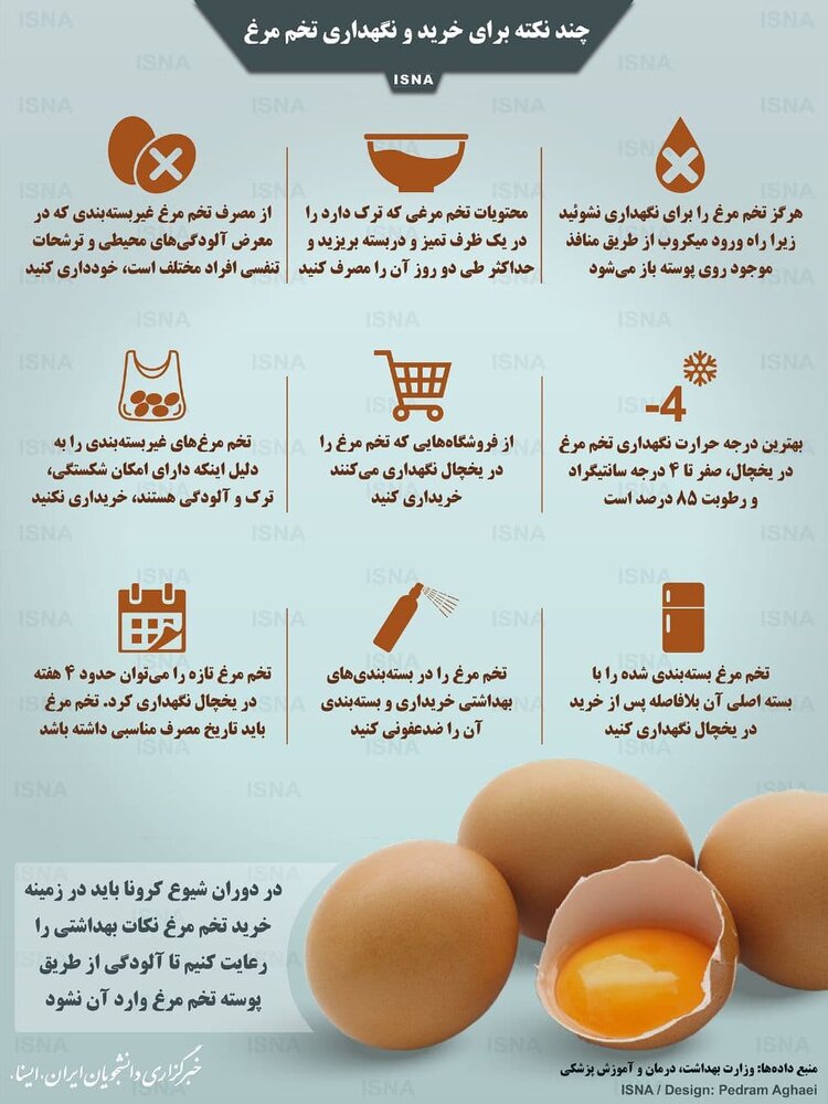 ببینید | چند نکته برای خرید و نگهداری تخم مرغ
