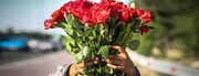 شهرداری تهران به مردم گل و ماسک هدیه می‌دهد