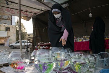 به استقبال بهار