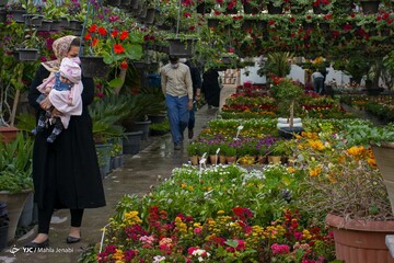 به استقبال بهار