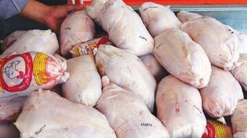 ۲۰۷ تن مرغ در قزوین توزیع شد
