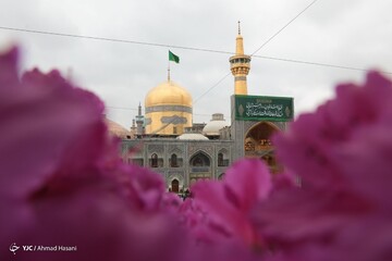 تحویل سال نو در حرم امام رضا (ع)