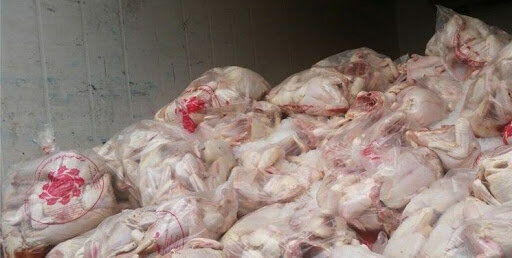 کاهش قیمت مرغ؛ بزودی / کیفیت مرغ های وارداتی ترکیه ای چگونه است؟ 