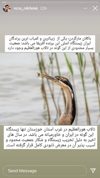 باکلان مارگردن