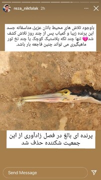 باکلان مارگردن