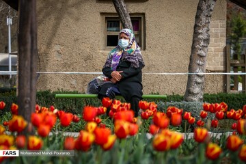 لاله ‎زارِ بهاری در کرج