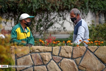 لاله ‎زارِ بهاری در کرج