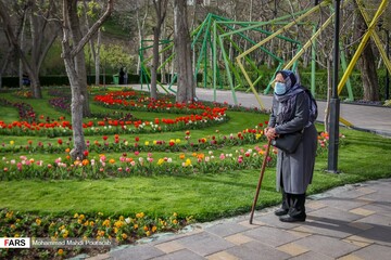 لاله ‎زارِ بهاری در کرج