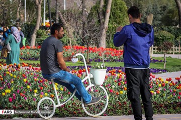 لاله ‎زارِ بهاری در کرج