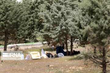 تهران در روز طبیعت