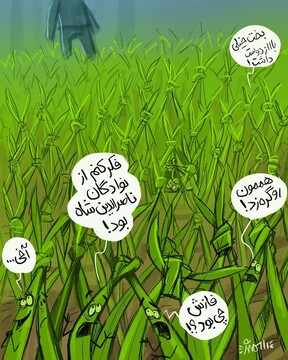 ببینید: وضعیت عجیب چمن‌ها بعد از سیزده بدر!