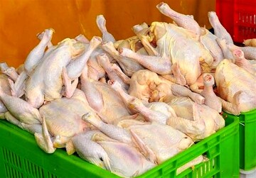 فروش مرغ قطعه‌بندی شده ممنوع شد