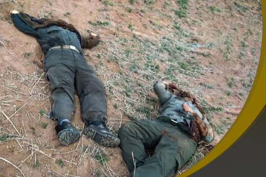 ببینید | جزئیات جنایت شب گذشته و قتل دو محیطبان