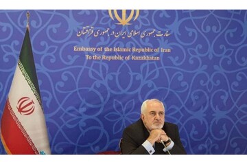 Zarif: Iran ready to cooperate with D8 developing states