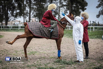 ببینید | تصاویر زیبا از جست و جوی کرونا در وسط میدان کورس بهاره گنبد