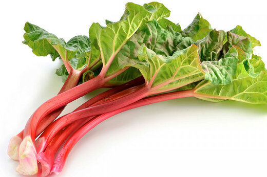 ببینید | خواص بی‌نظیر و حیرت‌انگیز گیاه ریواس