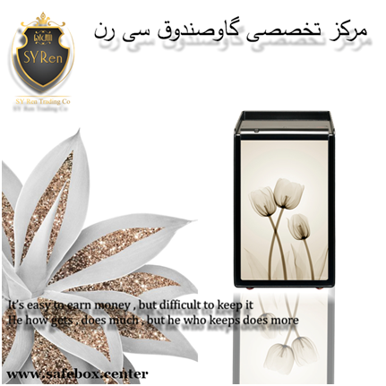 مرکز تخصصی گاوصندوق سی رن