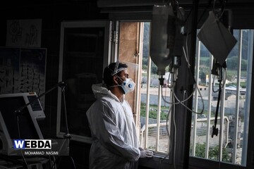 آتش در گلستان