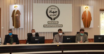 ۲۵۱ هزار راس دام در چهارمحال و بختیاری هویت‌گذاری شد