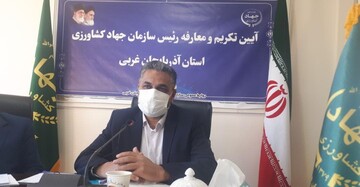 مشاور وزیر: تولید سالیانه ۲.۵ میلیون تن مرغ در کشور / صف‌ها ناشی از افزایش تقاضای گوشت مرغ است