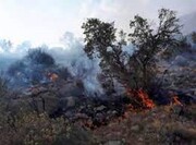 آتش‌سوزی در ارتفاعات "قیروزکارزین" استان فارس مهار شد