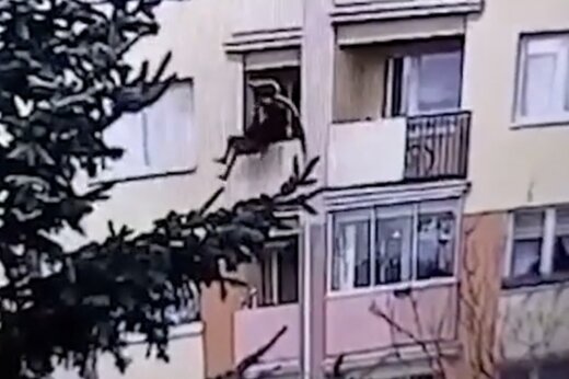 ببینید | قتل در روز روشن؛ پرتاب مادربزرگ از پنجره!