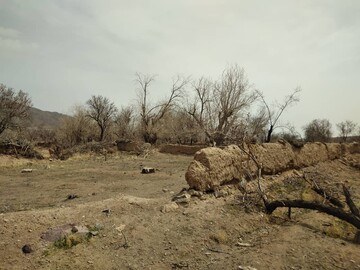 ببینید/جدال طبیعت با معدن سنگ در روستای جزلان/خشک شدن  ۳ هزار درخت