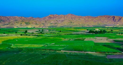 تصاویر دیدنی از باغ بلقیس