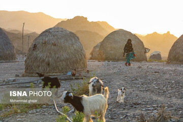 روستای کپرنشین «بارگدان»